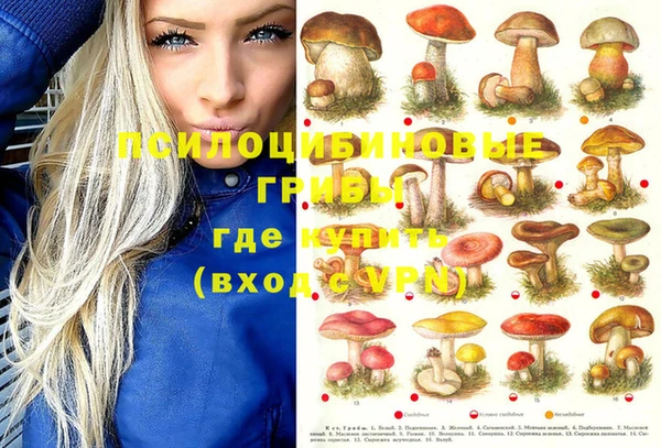 дживик Шимановск