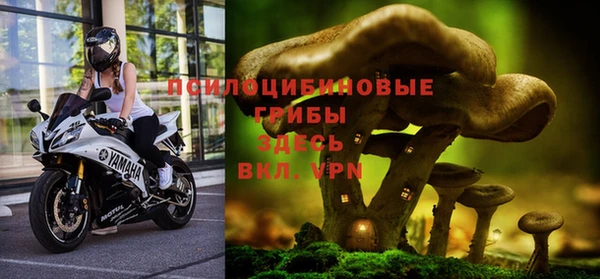 гашишное масло Богородицк