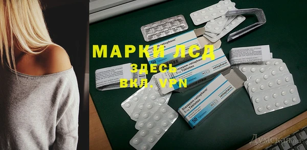 гидра Бородино